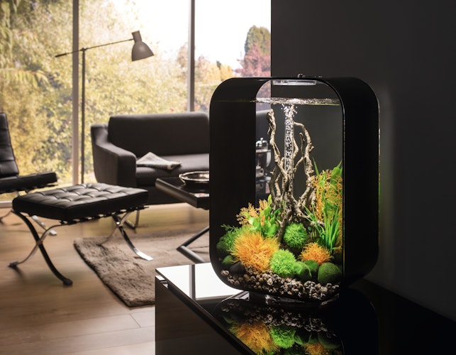 BiOrb Aquarium LIFE 45 MCR