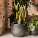 Vorschaubild Plant Pot Jouko schwarz