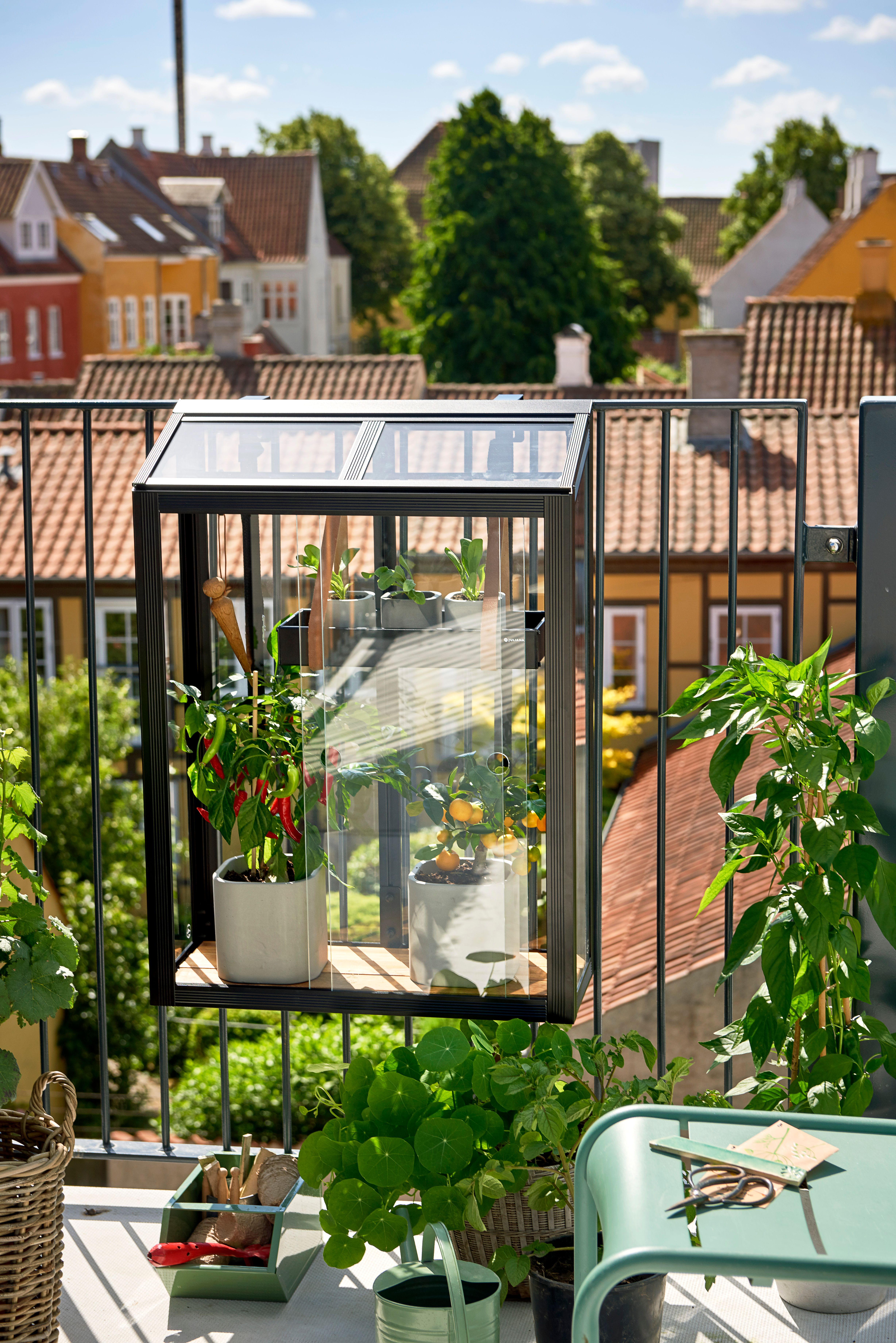 Juliana Gewächshaus Urban Balcony - 0,16 m²