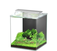 Aquatlantis Kubus Curve 30L LED - Essential