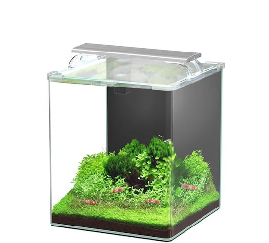 Aquatlantis Kubus Curve 30L LED - Essential