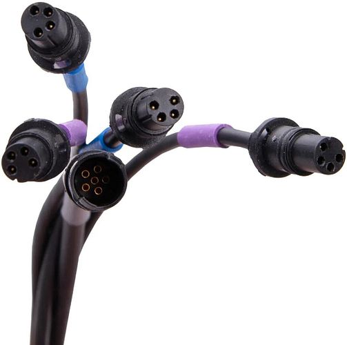 Campagnolo Interface EPS V4 12s EPS V4 12s