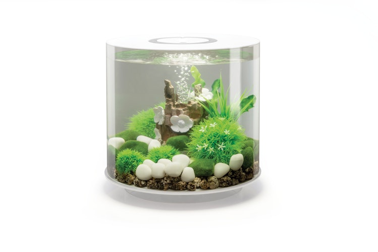 BiOrb Aquarium TUBE 15 MCR