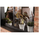 Vorschaubild Plant Pot Floora