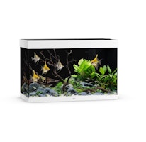 JUWEL Rio 290 LED weiß Aquarium
