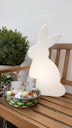 Vorschaubild 8 seasons design LED-Dekoleuchte Shining Rabbit 50 cm (WW)
