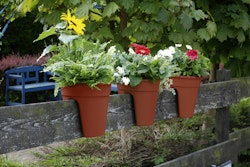 KHW Flowerclip, 3er Set, terra-Kartonverpackung