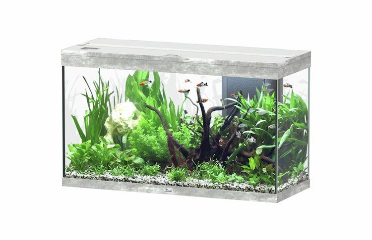 aquatlantis Splendid 200 Steinoptik Aquarium mit Unterschrank