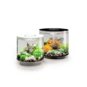 Vorschaubild BiOrb Deko Aquarium TUBE 15 mit MCR - 15 Liter