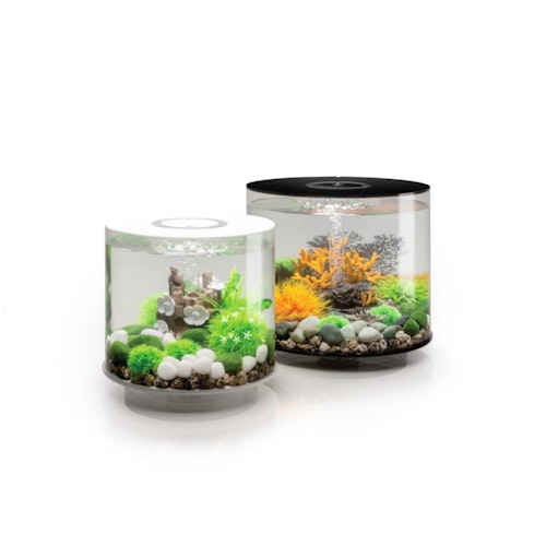 BiOrb Deko Aquarium TUBE 15 mit MCR - 15 Liter