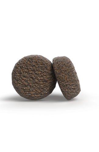 Josera A/S Adult Salmon & Potato Hundetrockenfutter