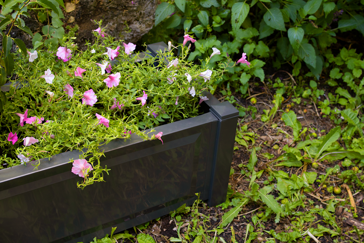 KHW Pflanzkasten rechteckig