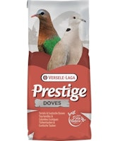 Vers 20kg Exotische Tauben