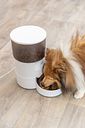 Vorschaubild TRIXIE Futterautomat TX-S Smart 3.0L, 3 l/18 × 31 × 18 cm, weiß
