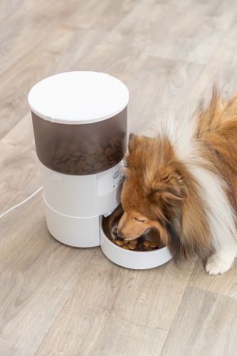 TRIXIE Futterautomat TX-S Smart 3.0L, 3 l/18 × 31 × 18 cm, weiß
