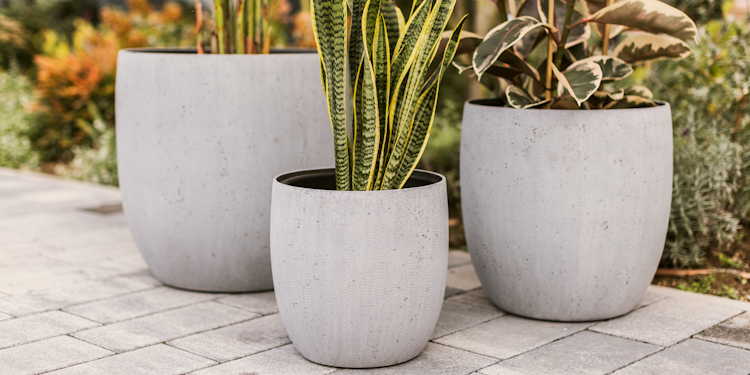 Plant Pot Toivo