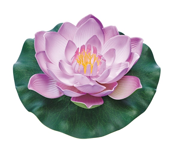 Pontec Seerose PondoLily violett