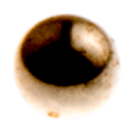 Husqvarna 501 46 85-01 - KUGEL