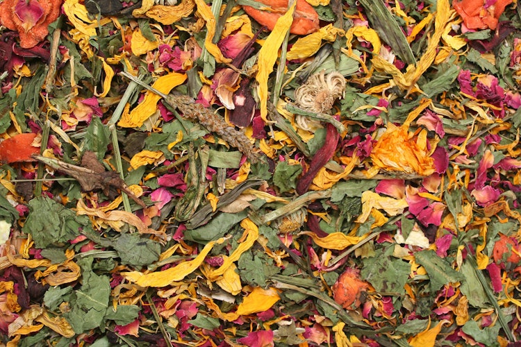 JR FARM Sommerfeld 100g Kleintierfutter