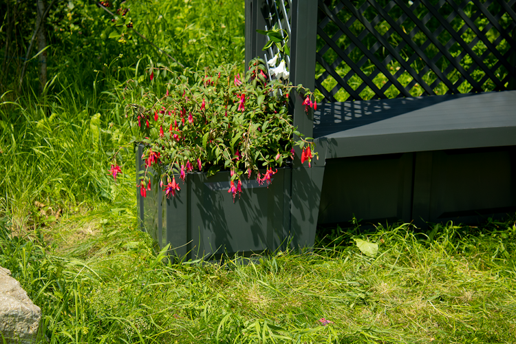 KHW Gartenbank Amsterdam mit Rosenbogen und Spalier