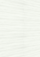 MEISTER Dekorpaneele MeisterPaneele. tertio DP 200 20106 White wood alle Längen