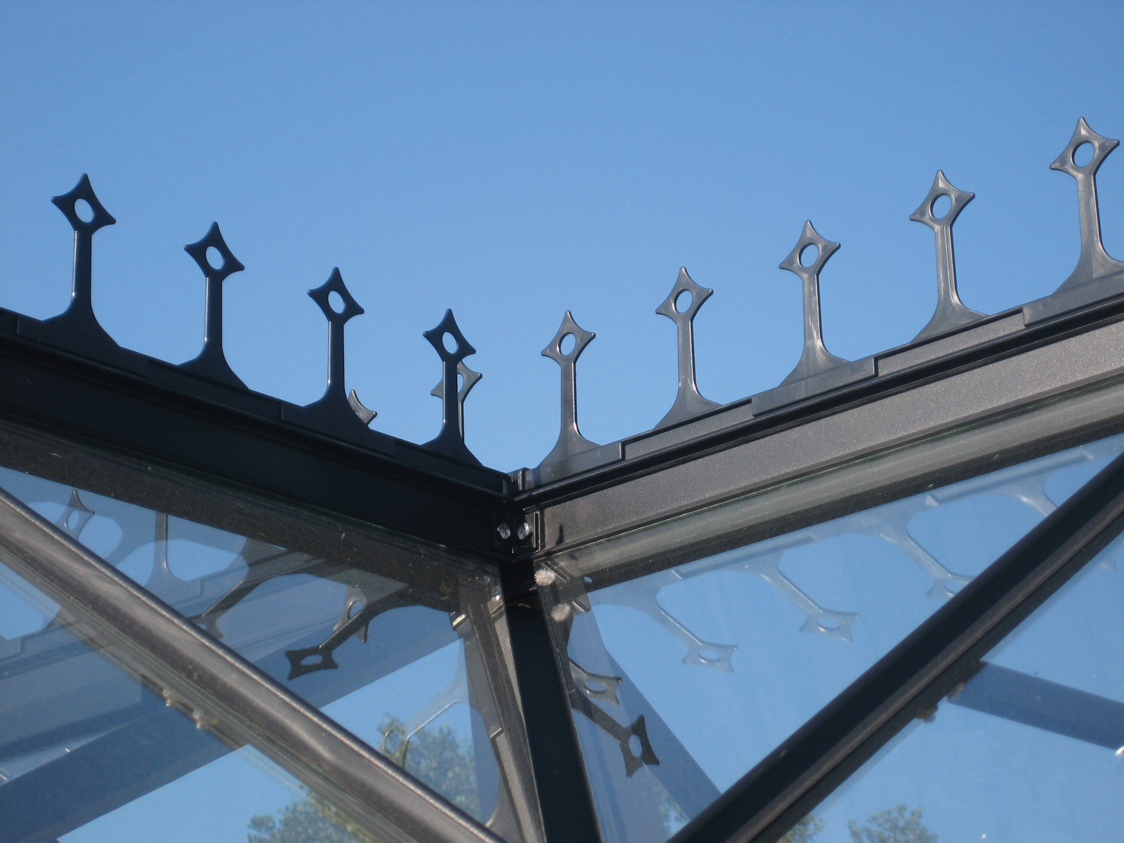 Vitavia Firstkrone für Sirius-schwarz