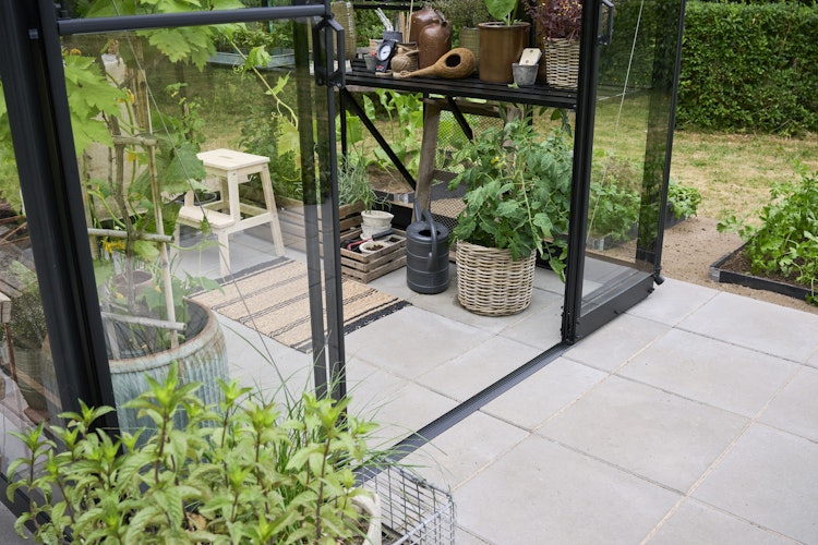 Halls Gewächshaus Qube Square - 6,3 m²