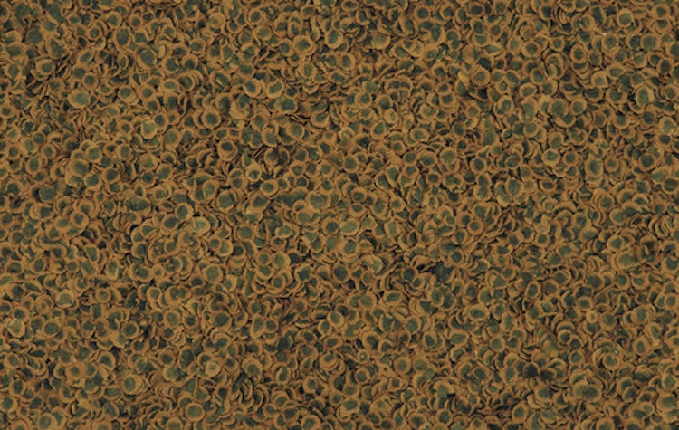 Tetra Pro Algae 500ml