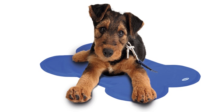 NOBBY Kühlmatte "Basic" Bone