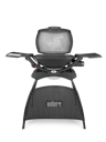 Weber Gasgrill Q 2000 mit Stand - Black