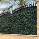 Vorschaubild Noor Rankhecke Weide