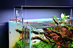 Chihiros Acryl Halterung für WRGB2 Aquarienzubehör