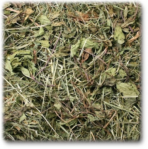 JR FARM Nager Pfefferminzwiese 500g Raufutter für Kleintiere