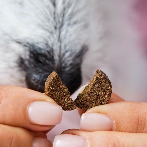 Tierliebhaber Gras- & Kotfresser Drops