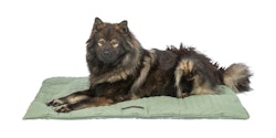 TRIXIE Liegematte Marley, eckig, salbei