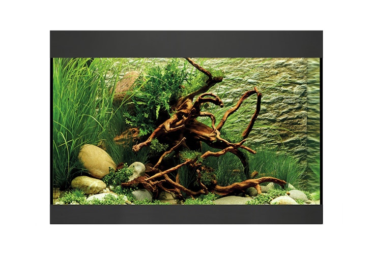 Oase Aquarium StyleLine Modell 125