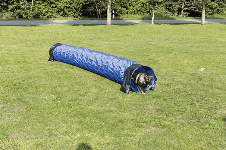 TRIXIE Fun Agility Basic Tunnel, ø 60 cm/5 m, blau