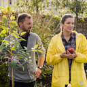 Vorschaubild Säulenapfel Elmira Säule