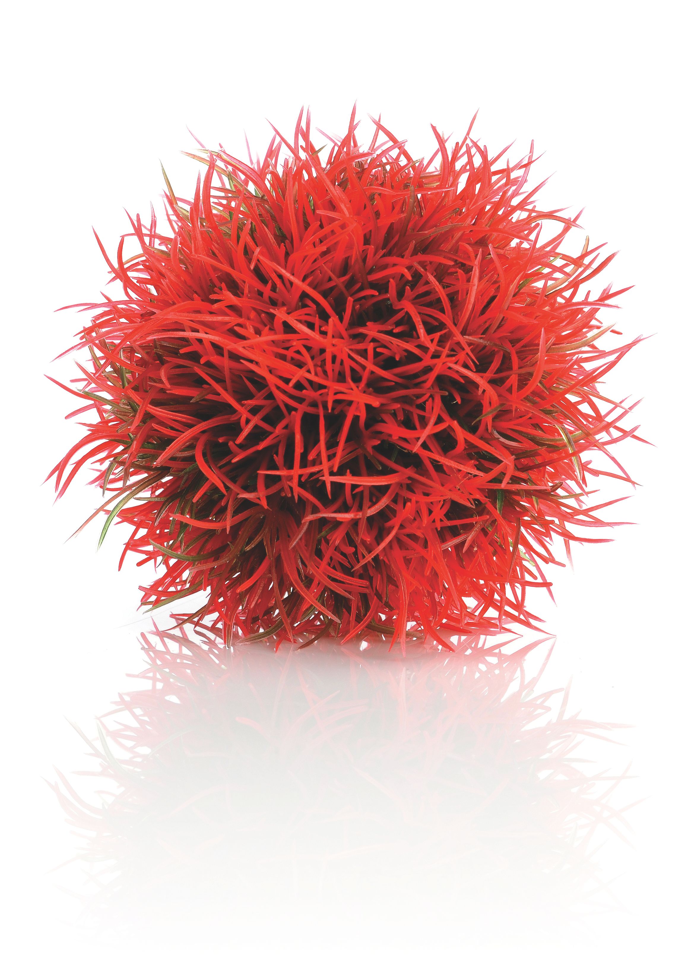 biOrb Gewächsball rot (46063)