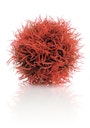 Vorschaubild biOrb Gewächsball rot (46063)
