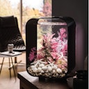 Vorschaubild BiOrb Deko Aquarium LIFE 15 mit MCR - 15 Liter