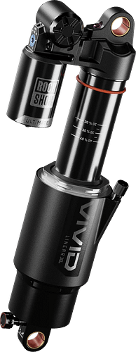RockShox Federbein Vivid Ultimate DH RC2 D1 250 mm x 75 mm