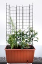 Vorschaubild KHW Pflanzkasten Ambizioso mit Rollen und Spalier