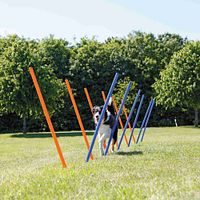TRIXIE Fun Agility Slalom, Kunststoff, ø 3 × 115 cm, 12 St., blau/orange