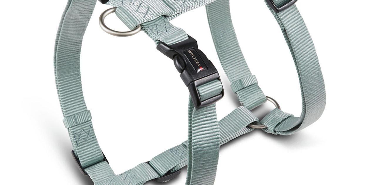 Wolters Führleine Professional Salbei Grün M 200cm - Hunde Führleine