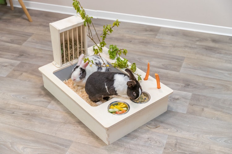 TRIXIE Futterstation mit Näpfen & Heuraufe, Holz