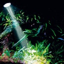 Vorschaubild HOBBY Bubble Air Spot Aquarienbeleuchtung