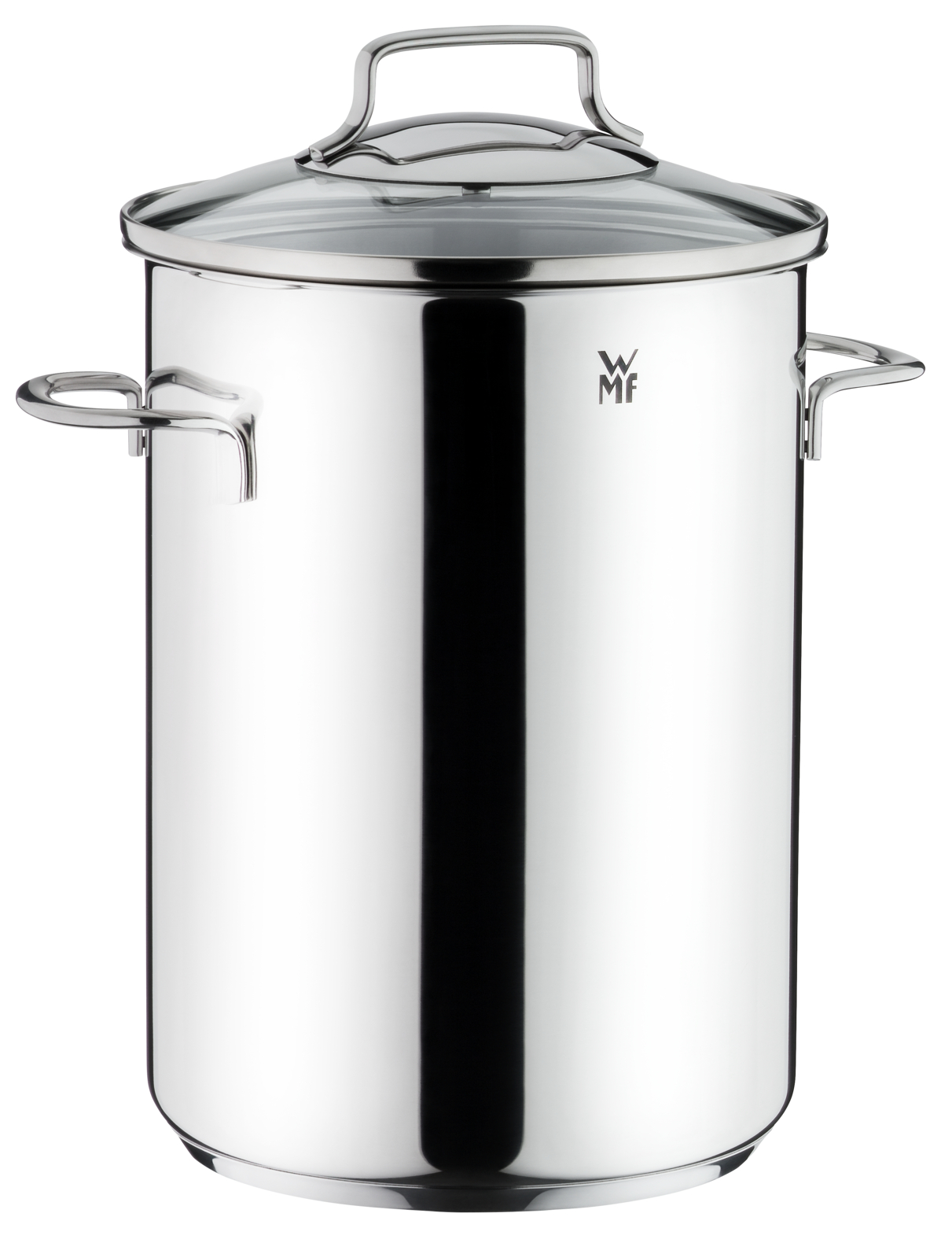 WMF Spargeltopf Ø 16 cm mit Drahteinsatz