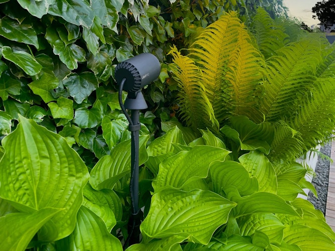 Lightpro Erdspieß Multispike 40-60 cm für Castor und Juno