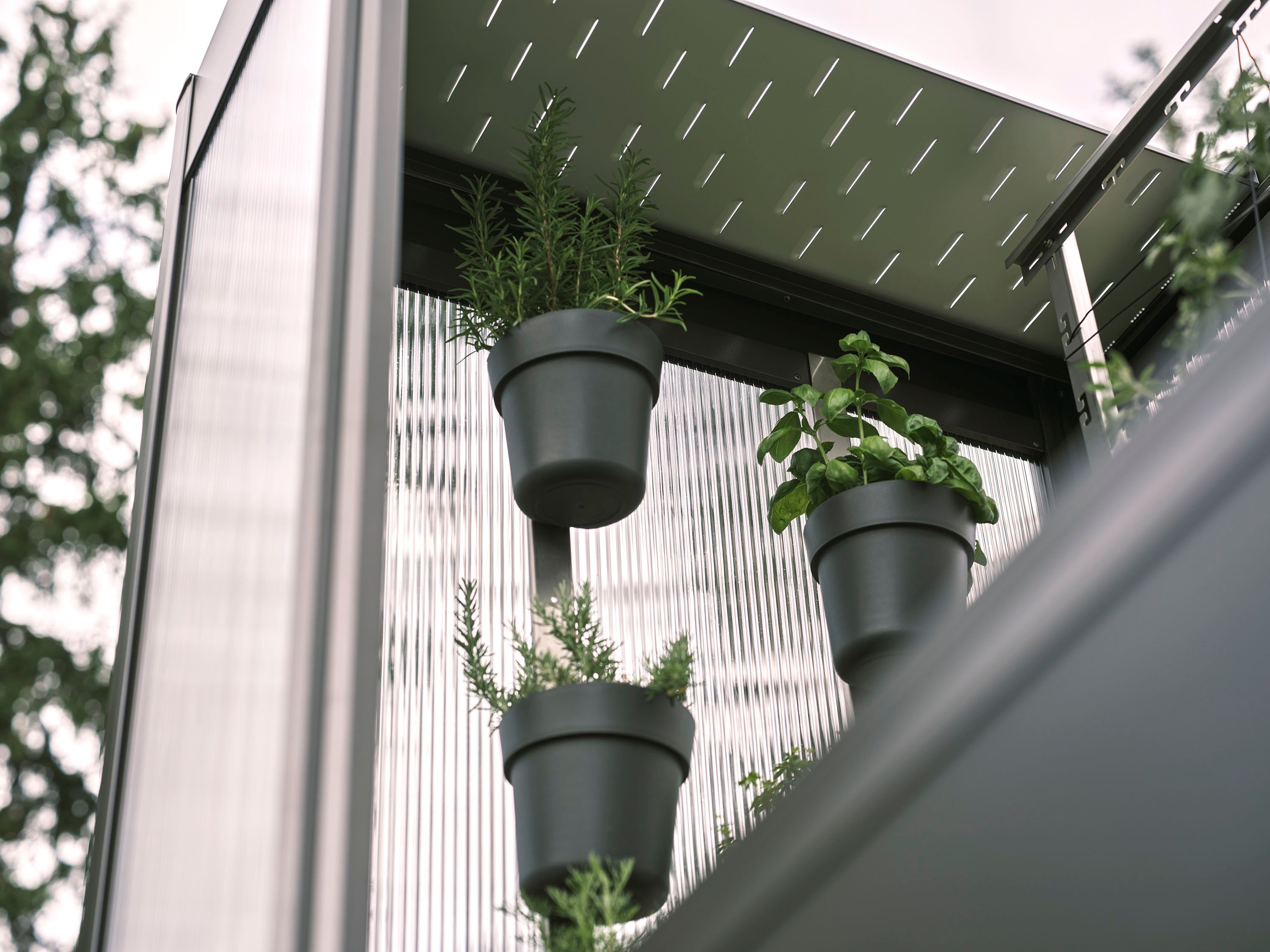 Biohort Pflanzentopf-Set für Gewächshaus Florentina (3 Töpfe)